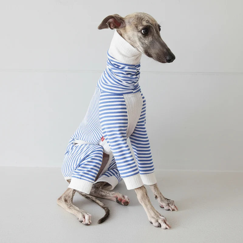 Pull Léger Confortable Pour Lévrier Et Whippet