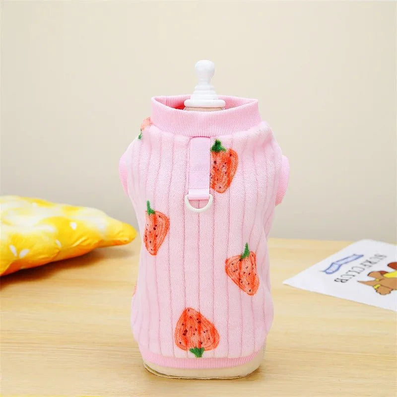 Pull Motif Fraise pour Chat