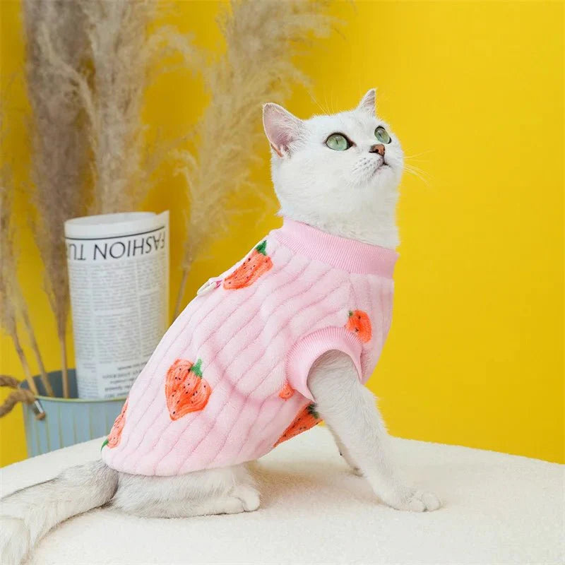 Pull Motif Fraise pour Chat