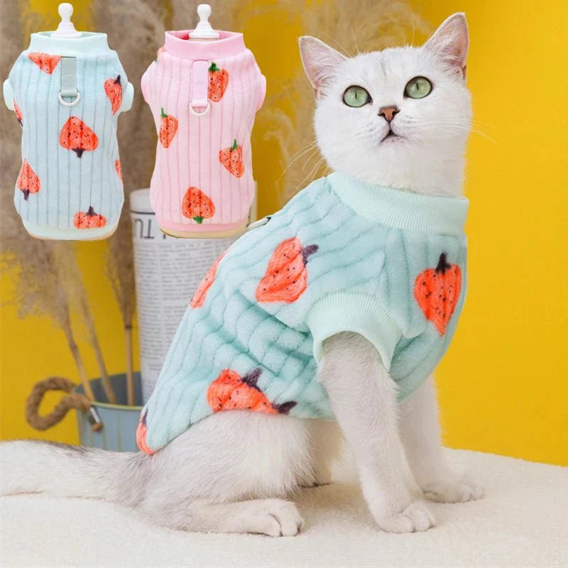 Pull Motif Fraise pour Chat