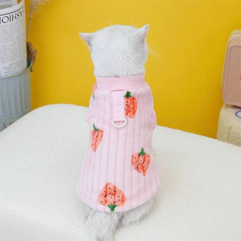 Pull Motif Fraise pour Chat