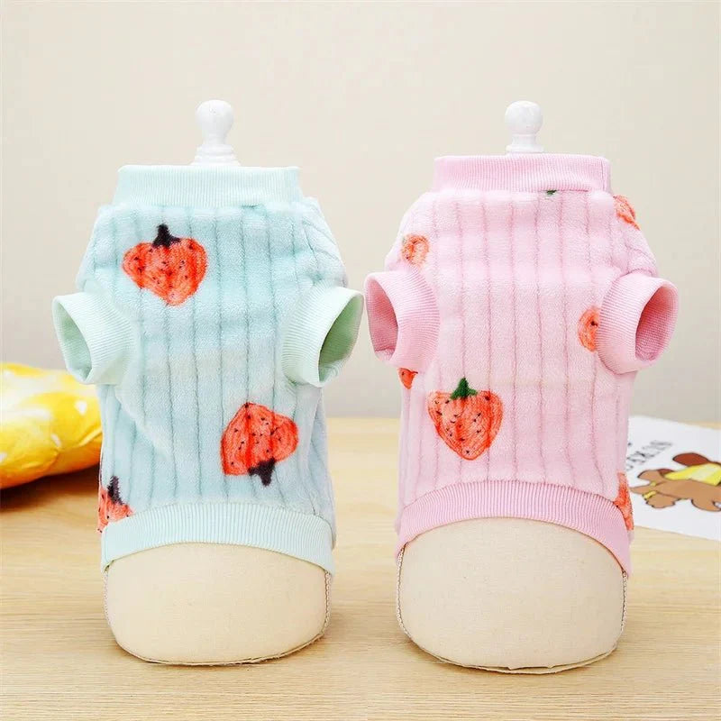 Pull Motif Fraise pour Chat