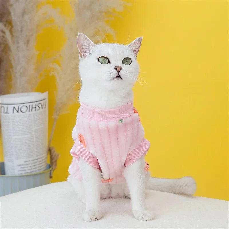 Pull Motif Fraise pour Chat