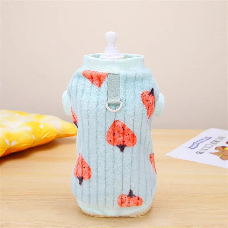 Pull Motif Fraise pour Chat