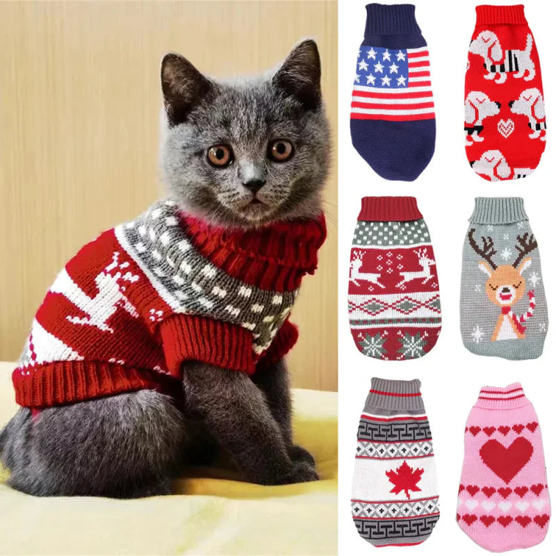 Pull Noël pour Chat
