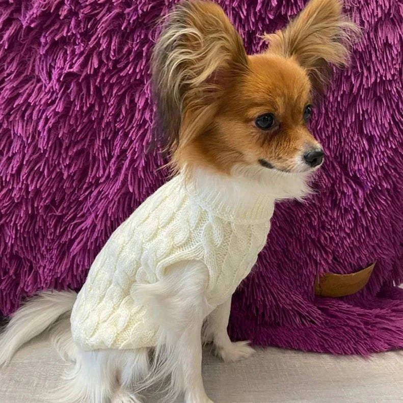 Pull Petit Chien