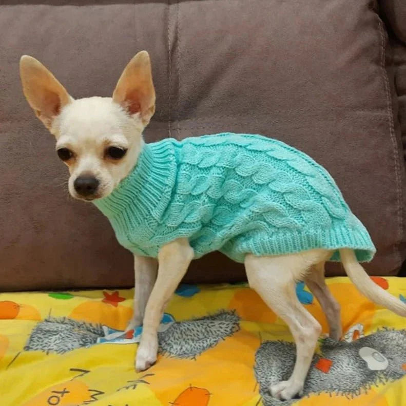 Pull Petit Chien