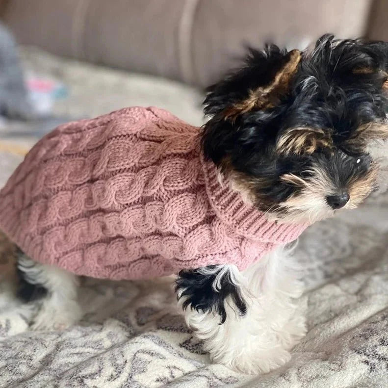 Pull Petit Chien