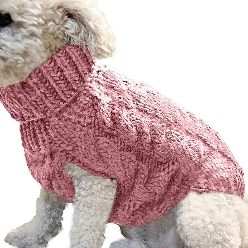 Pull Petit Chien