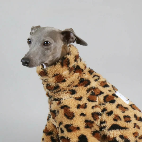 Pull Polaire Léopard Pour Whippet Lévrier