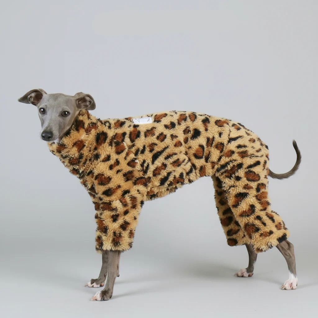 Pull Polaire Léopard Pour Whippet Lévrier