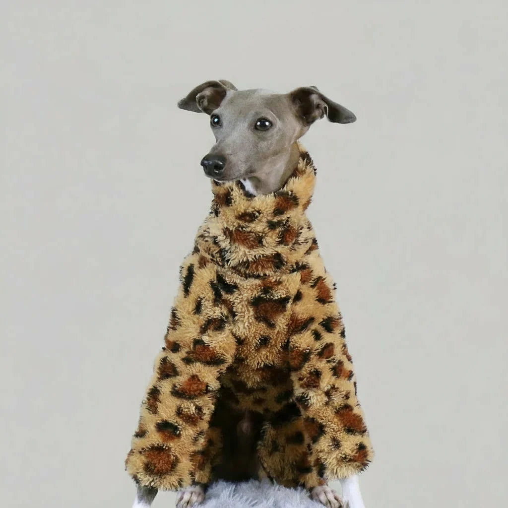 Pull Polaire Léopard Pour Whippet Lévrier
