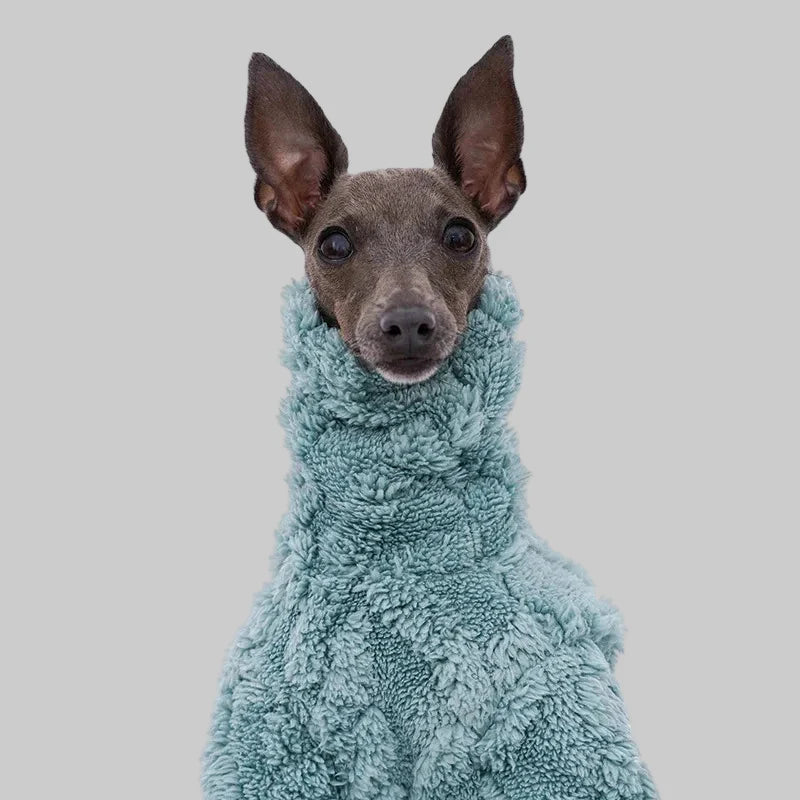 Pull Col Roulé En Polaire Pour Lévrier Et Whippet