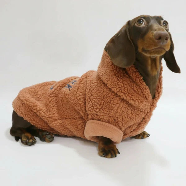Pull Polaire Capuche Pour Chien Teckel