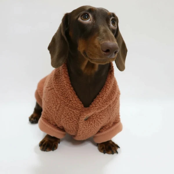 Pull Polaire Capuche Pour Chien Teckel