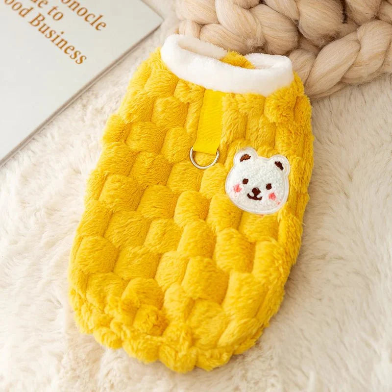 Pull pour Bichon Maltais & petit chien