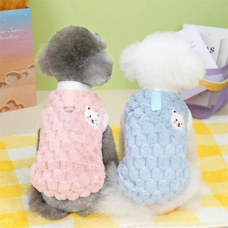Pull pour Bichon Maltais & petit chien