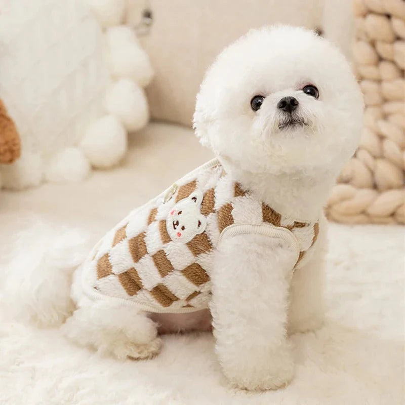 Pull pour Bichon Maltais & petit chien