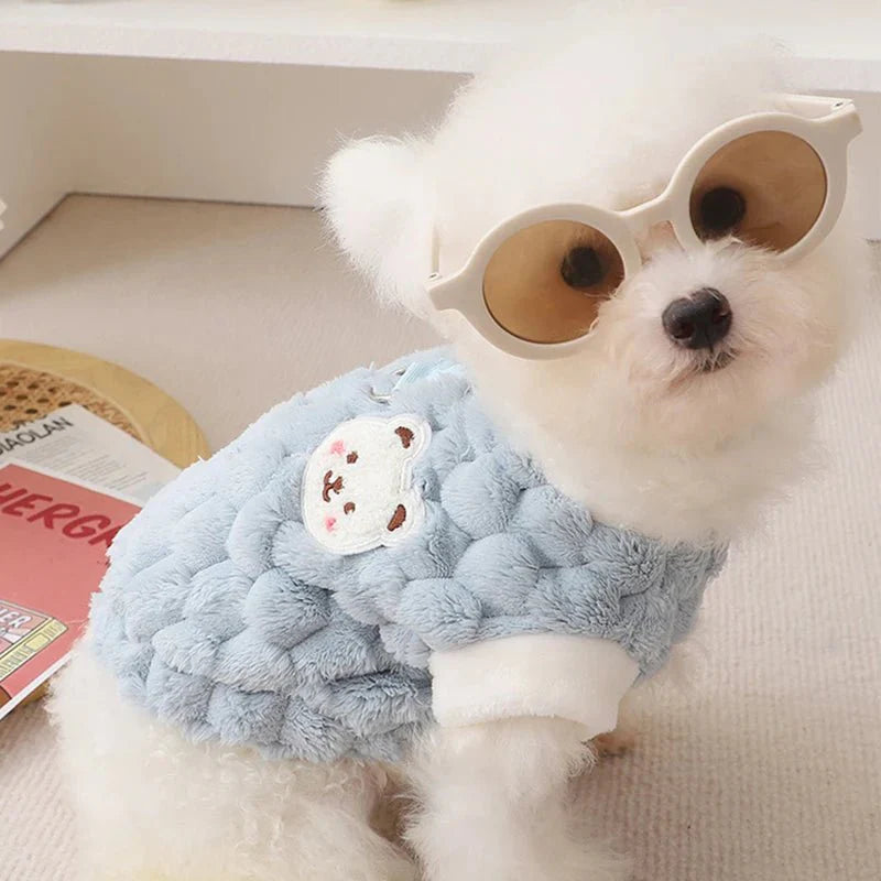 Pull pour Bichon Maltais & petit chien