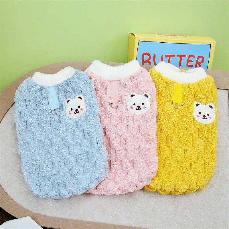 Pull pour Bichon Maltais & petit chien