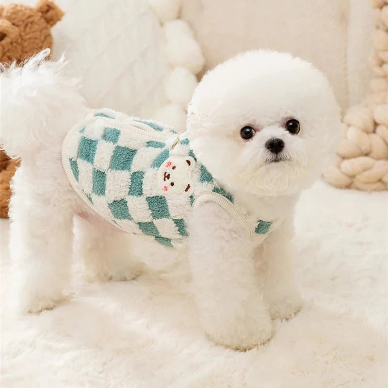 Pull pour Bichon Maltais & petit chien