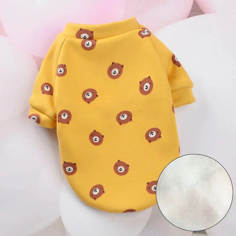 Pull pour Chat Jaune ourson