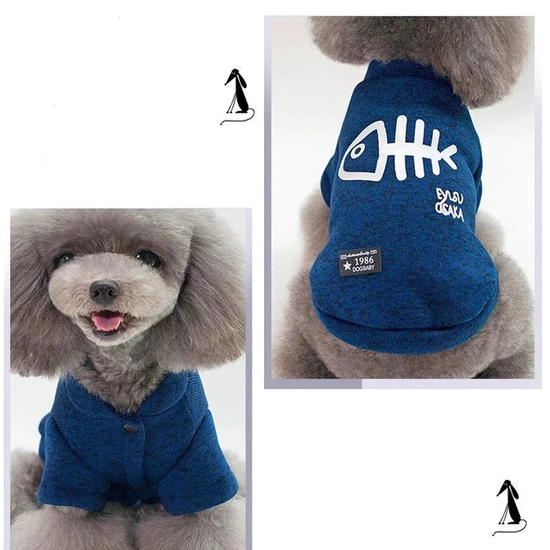 Pull pour Chat Sphynx