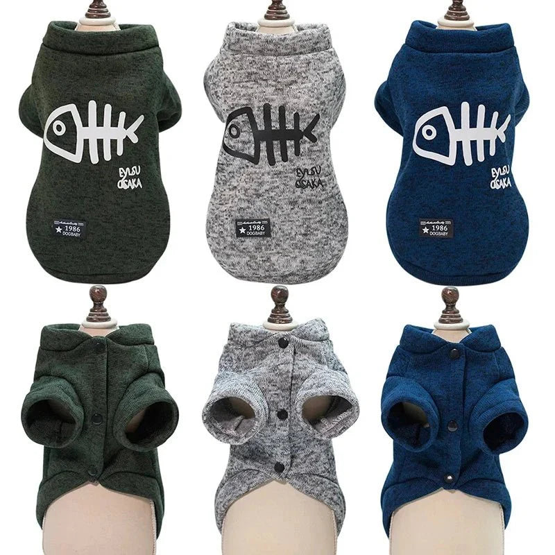 Pull pour Chat Sphynx