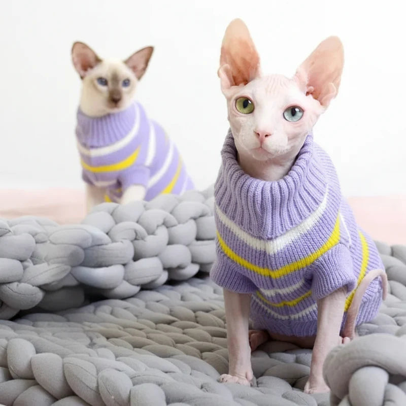 Pull Chaud Pour Chat Sphynx Et Devon