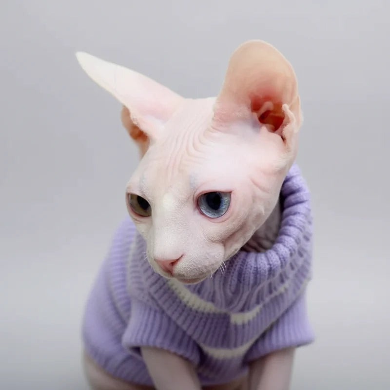 Pull Chaud Pour Chat Sphynx Et Devon