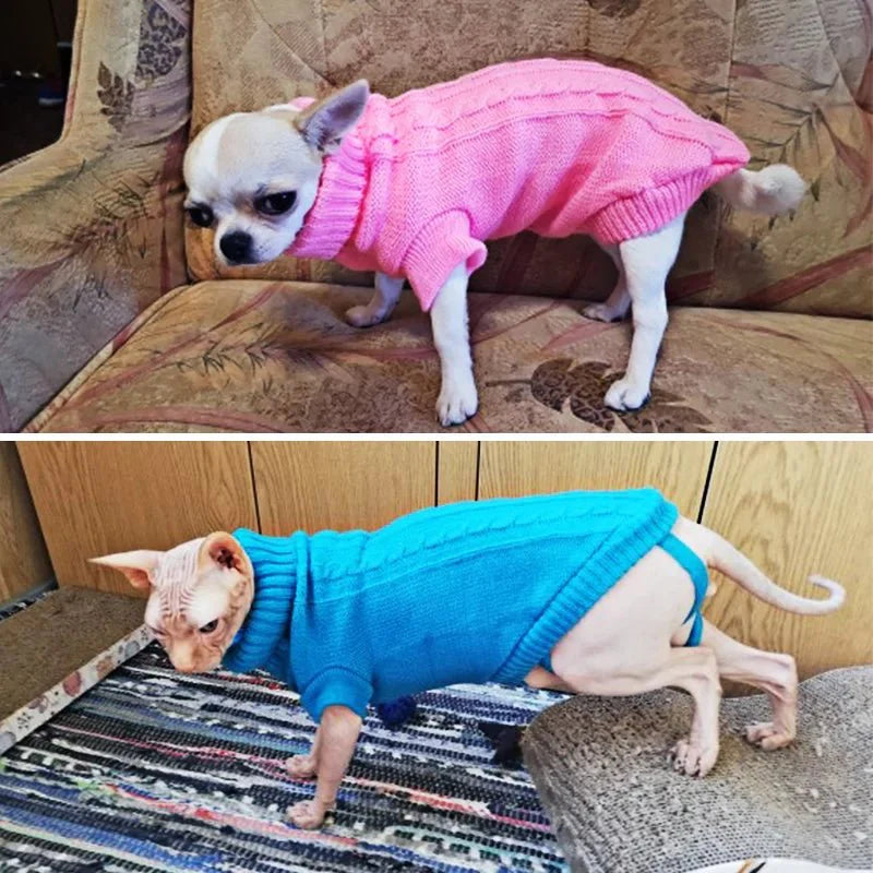 Pull pour Chat tricot