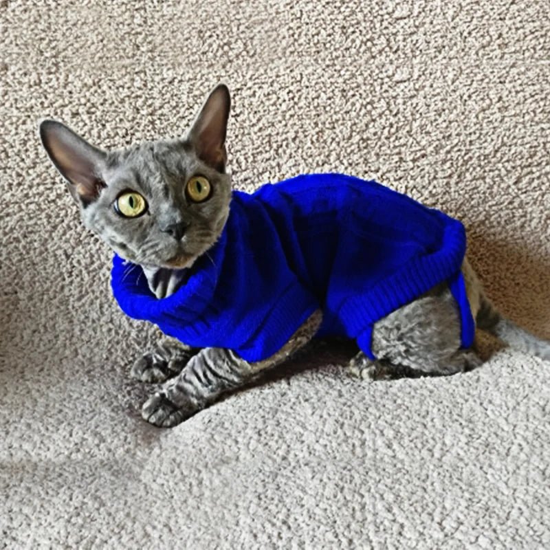 Pull pour Chat tricot