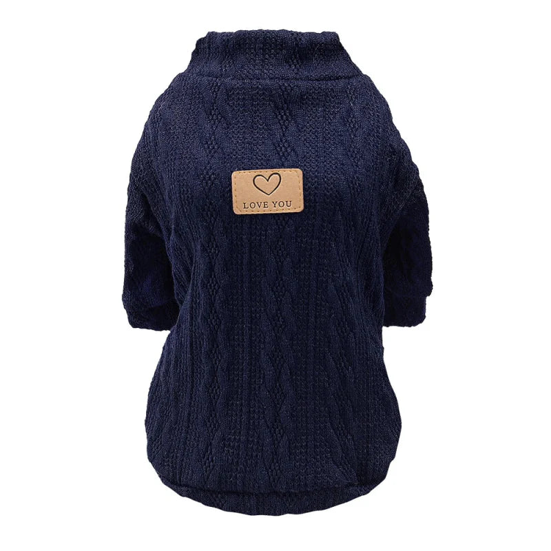 Pull pour Chaton et Chat