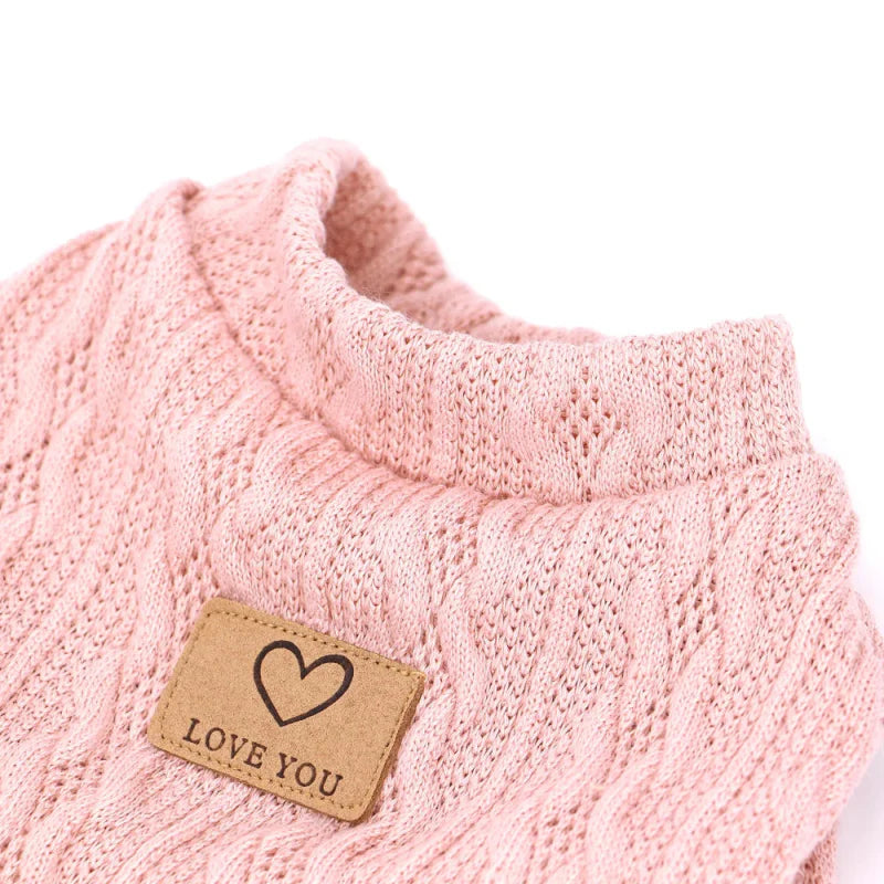 Pull pour Chaton et Chat