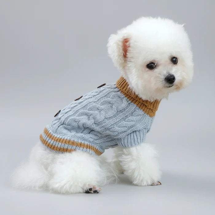 Pull Boutons Torsades Bleu Pour Chien