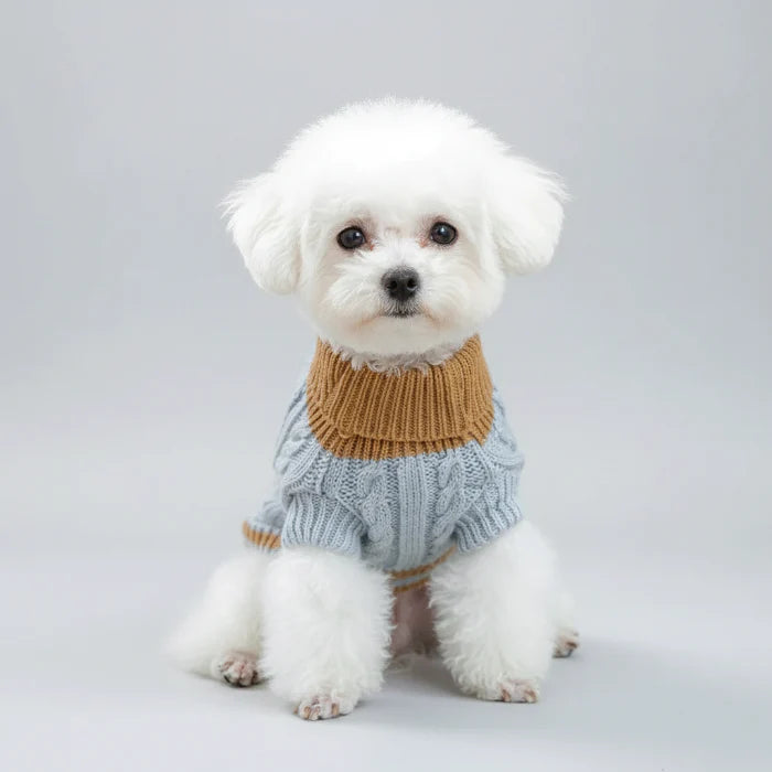 Pull Boutons Torsades Bleu Pour Chien