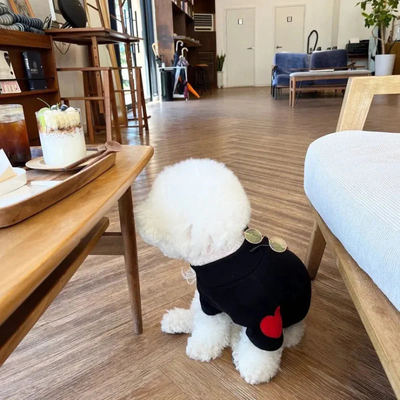 Pull pour Chien Coeur Brodé