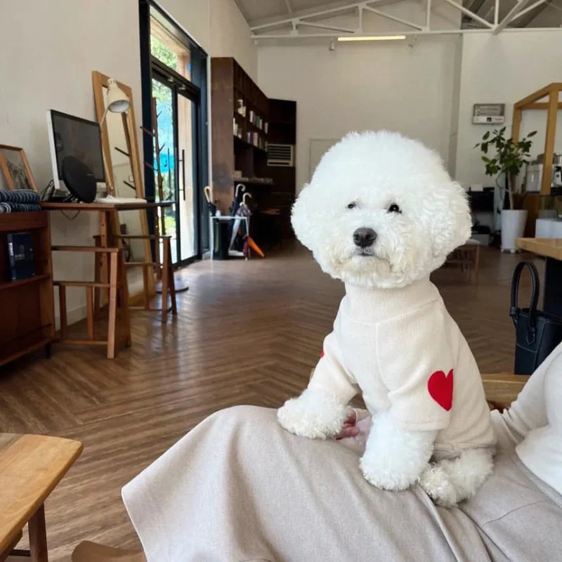 Pull pour Chien Coeur Brodé