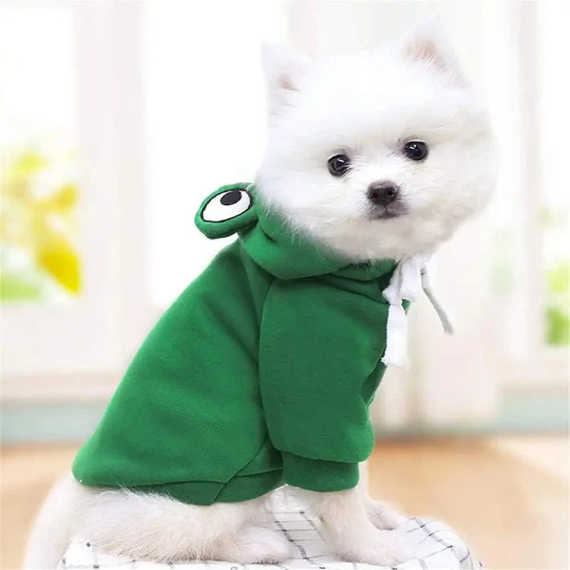 Pull pour Chien Original