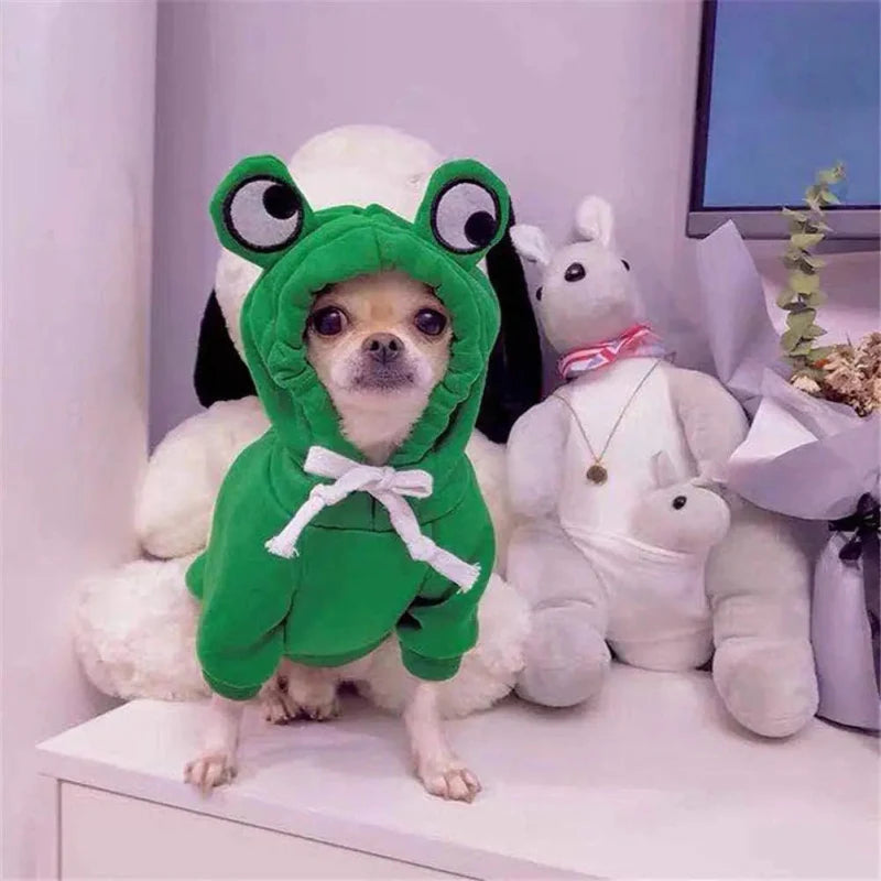 Pull pour Chien Original