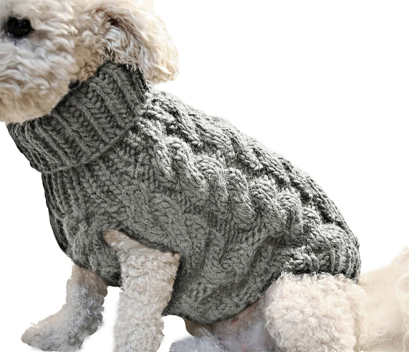 Pull pour Chien Tricot