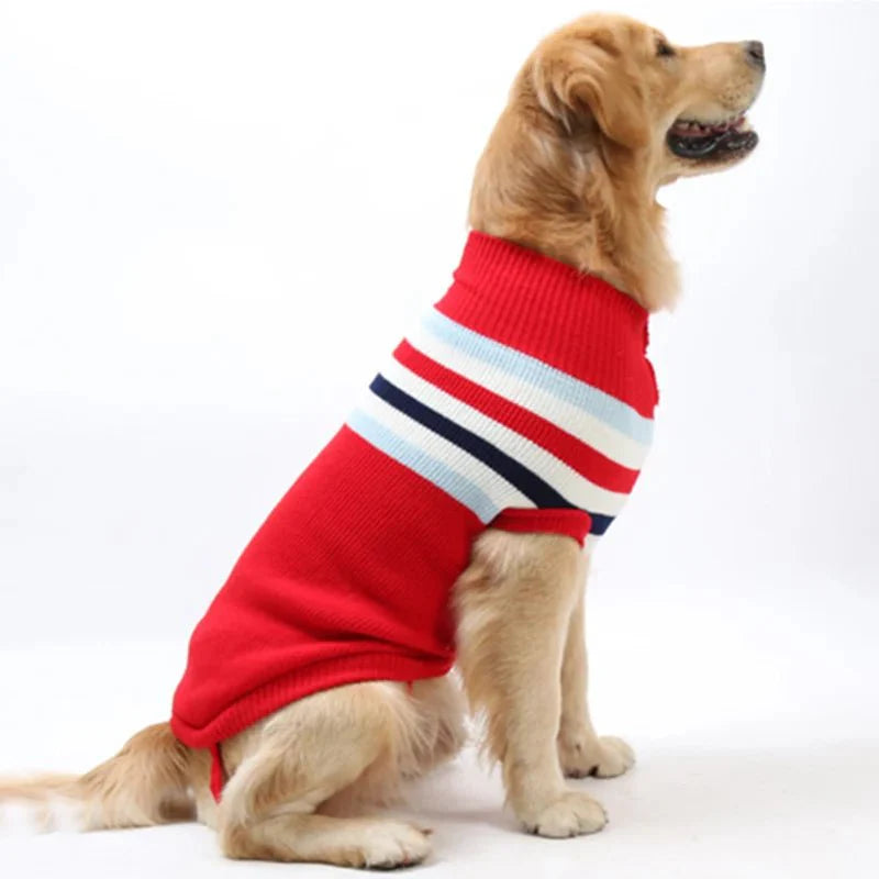Pull pour Grand Chien
