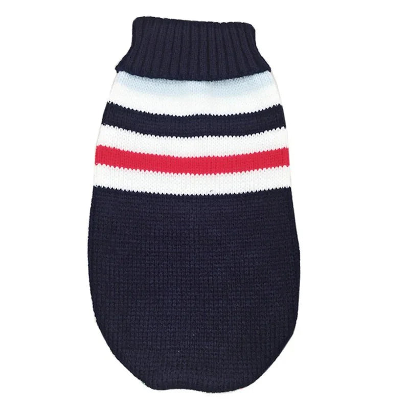 Pull pour Grand Chien