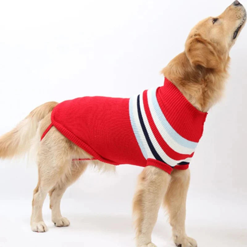 Pull pour Grand Chien