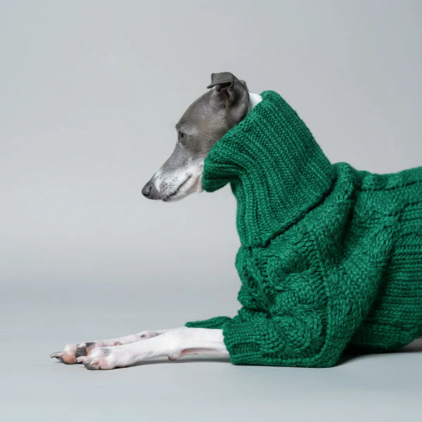 Pull Tricot Torsadé Col Roulé Pour Lévrier Et Whippet