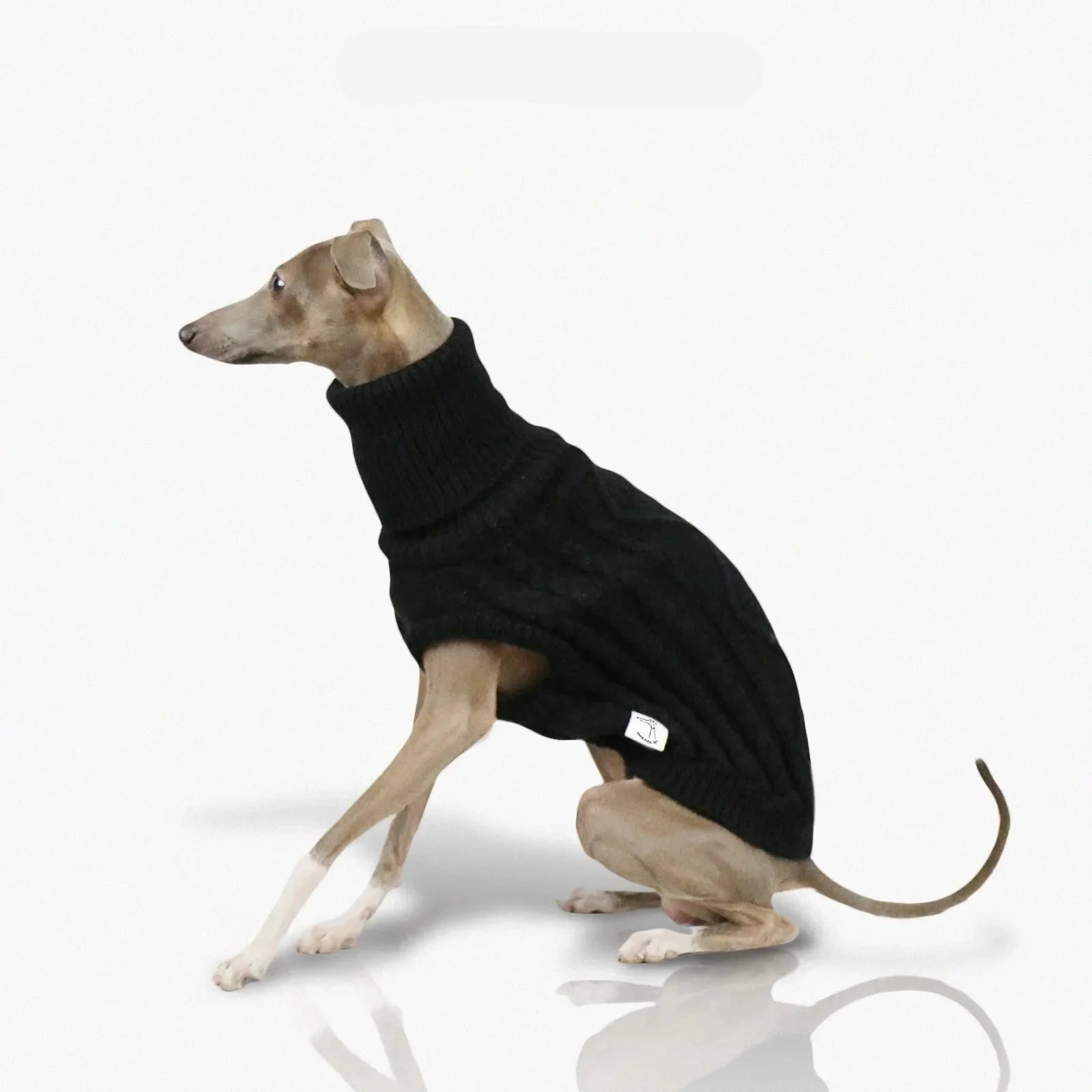 Pull Col Haut En Laine Douce Pour Whippet Et Lévrier