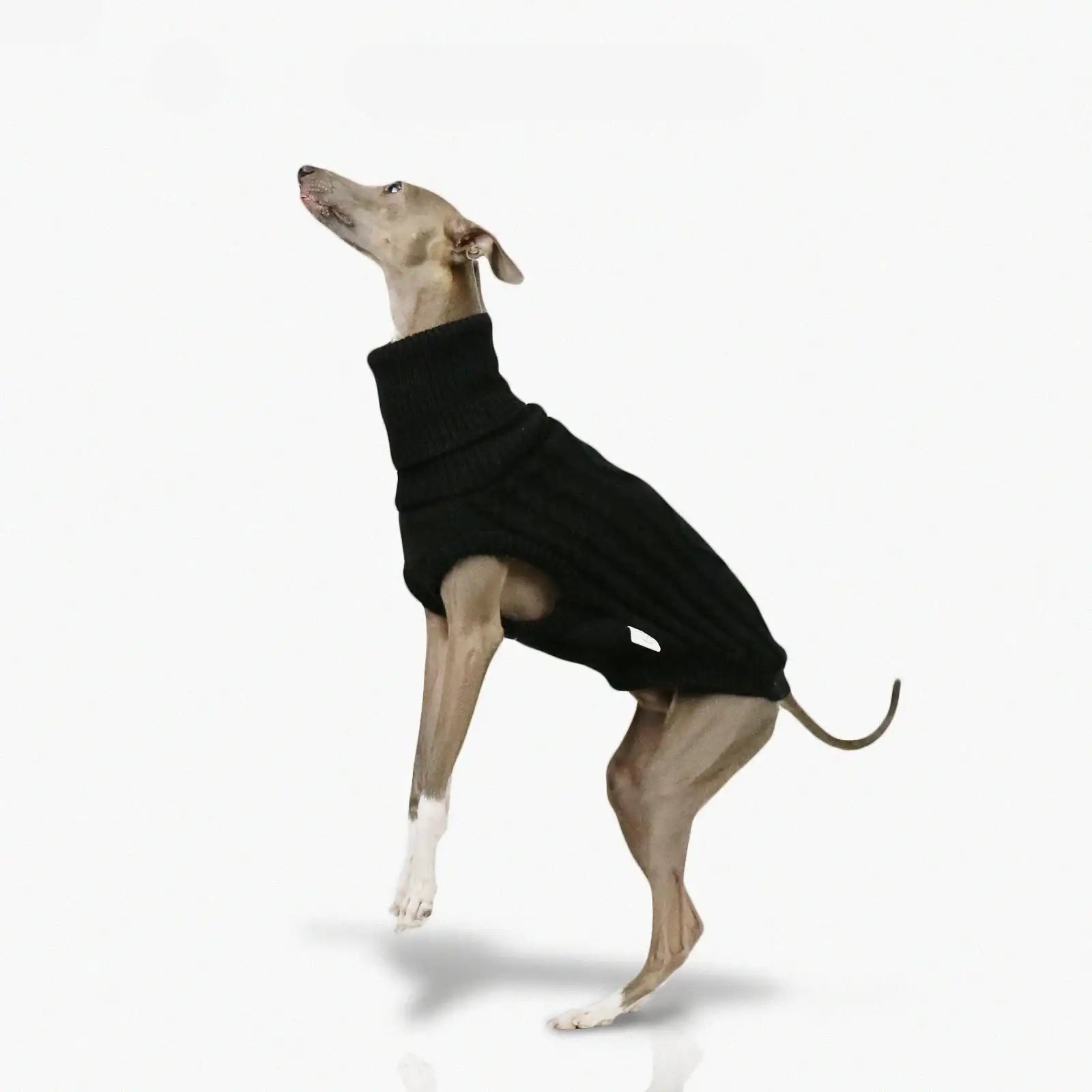 Pull Col Haut En Laine Douce Pour Whippet Et Lévrier