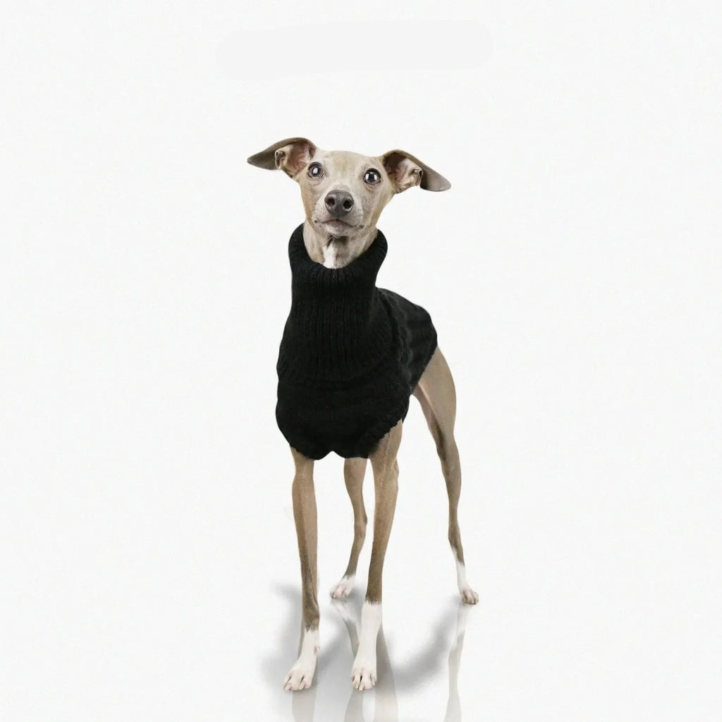 Pull Col Haut En Laine Douce Pour Whippet Et Lévrier