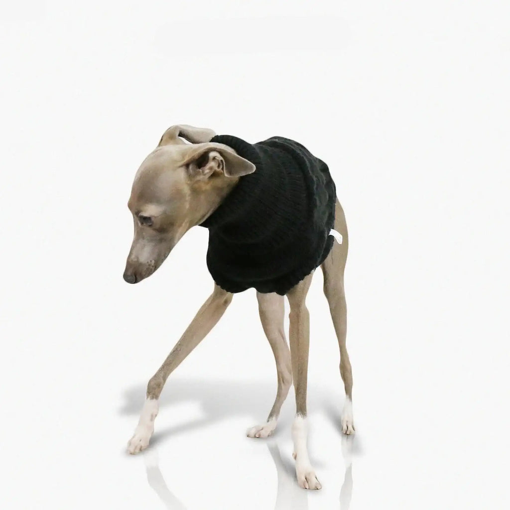 Pull Col Haut En Laine Douce Pour Whippet Et Lévrier