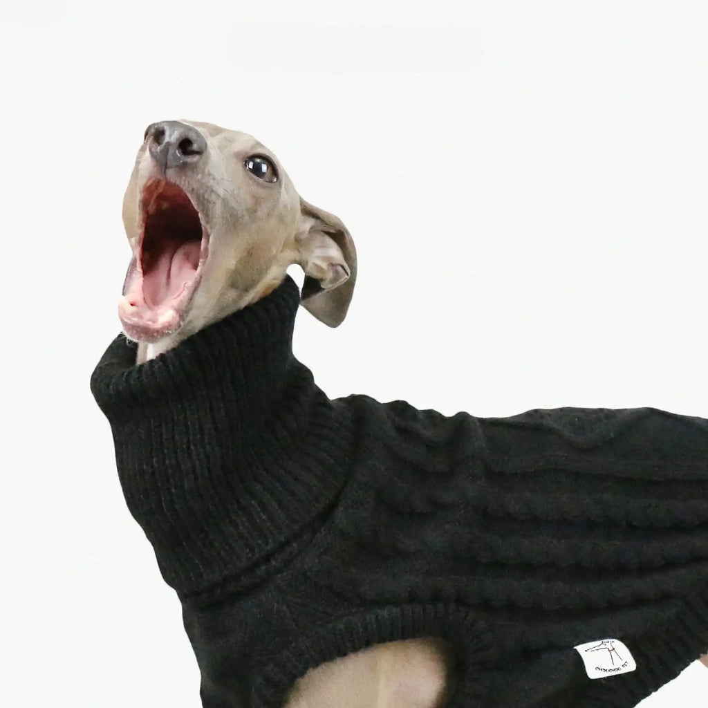 Pull Col Haut En Laine Douce Pour Whippet Et Lévrier